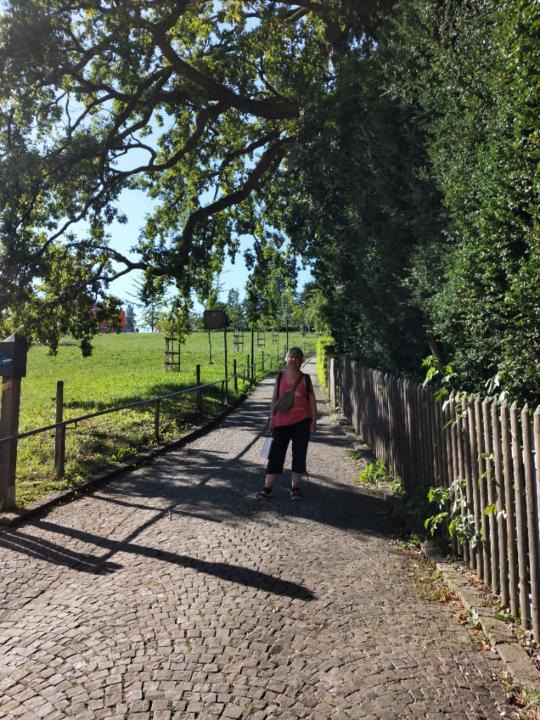 Estrella Garcia Garcia