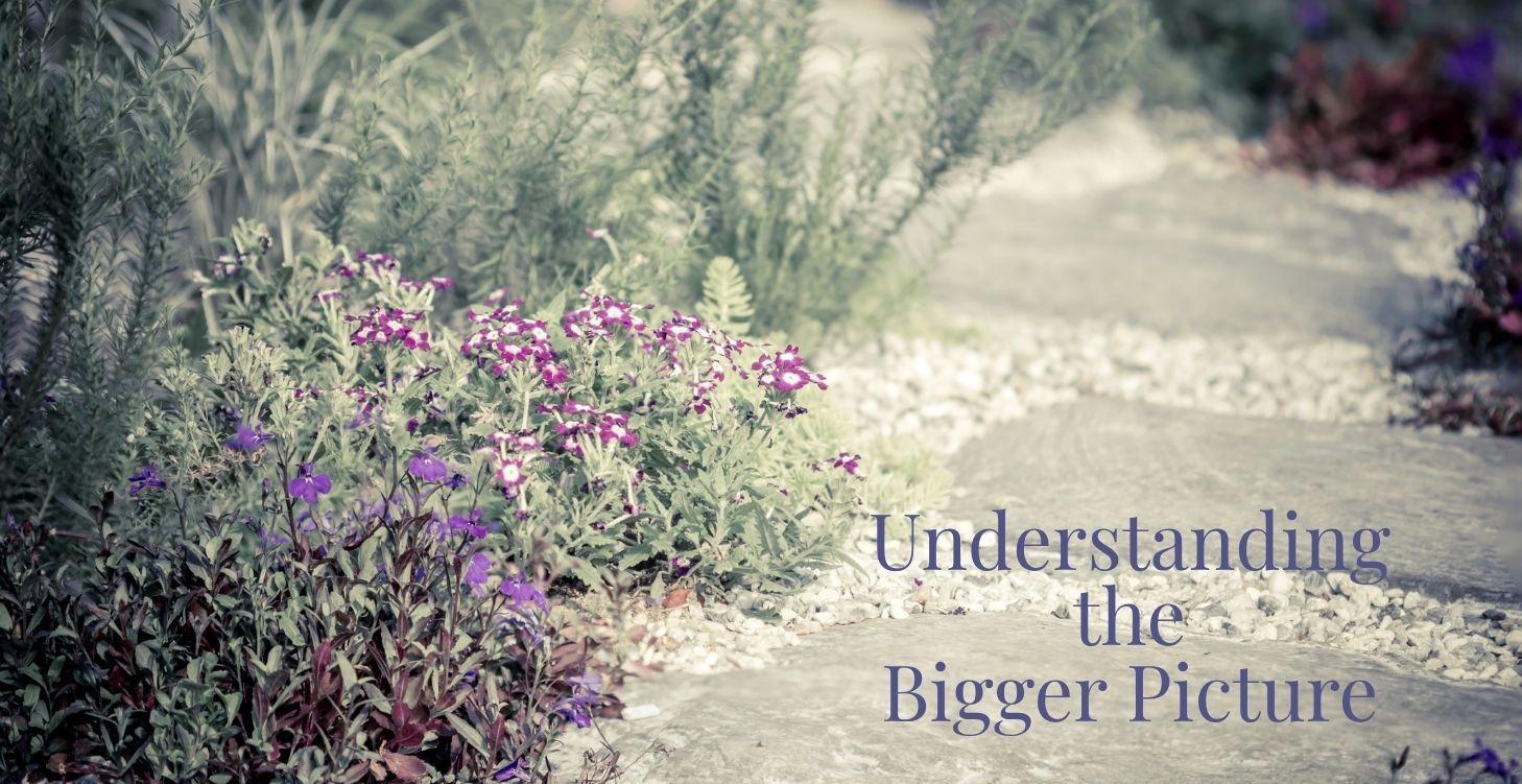 Understanding the Bigger Picture