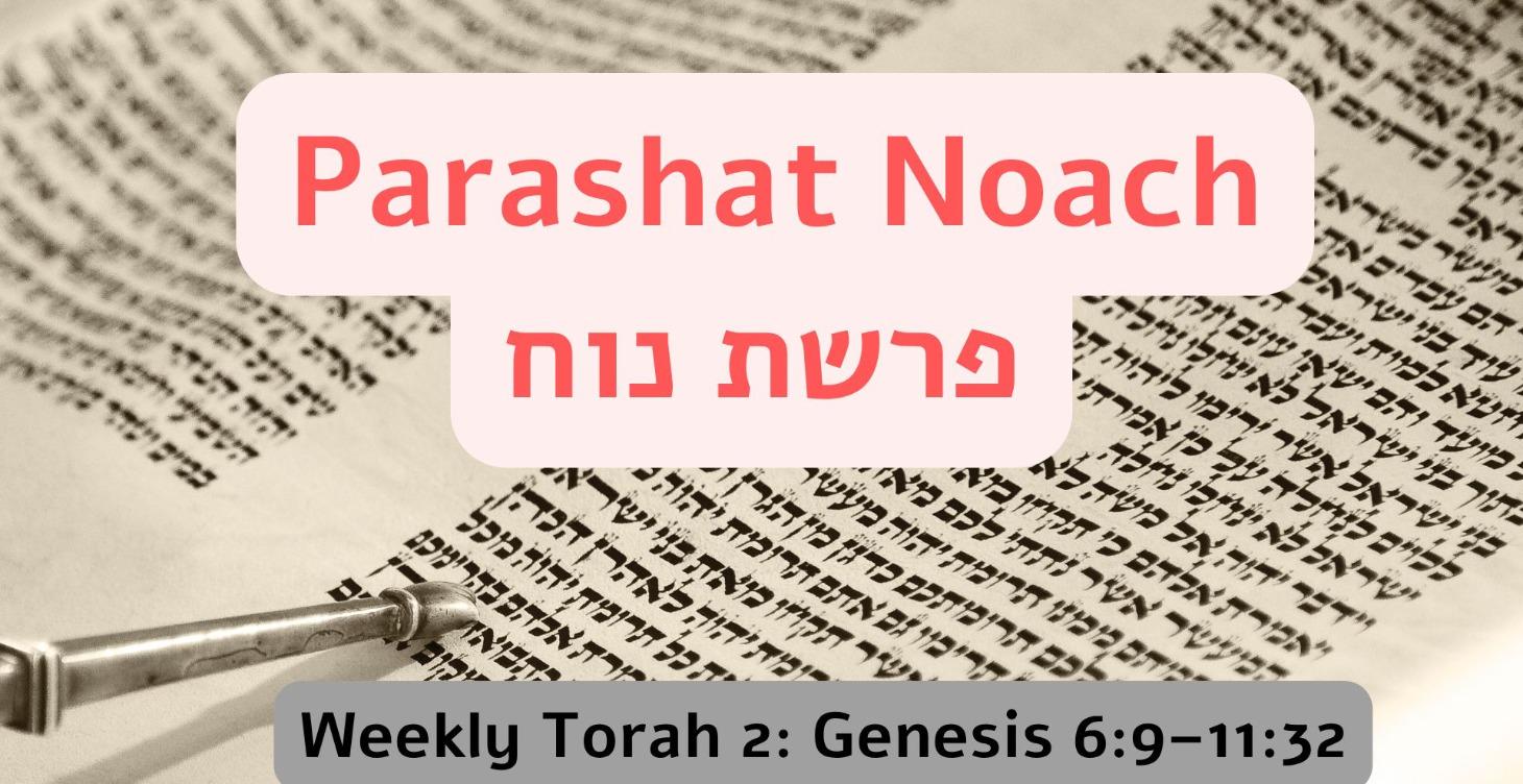 Parashat Noach: Genesis 6:9–11:32