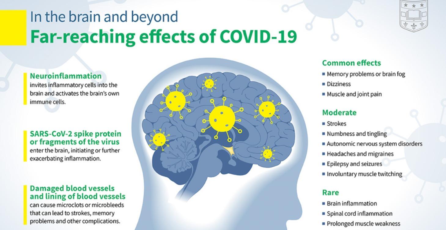 Step 3: Healing Brain Fog
