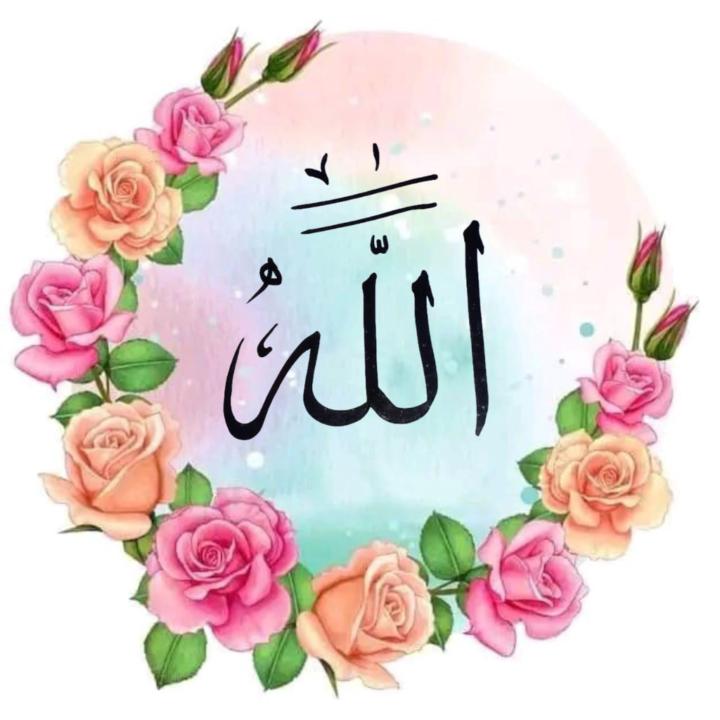 Ghazala Hassn