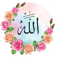 Ghazala Hassn