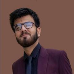 Muhammad Usama Anwar