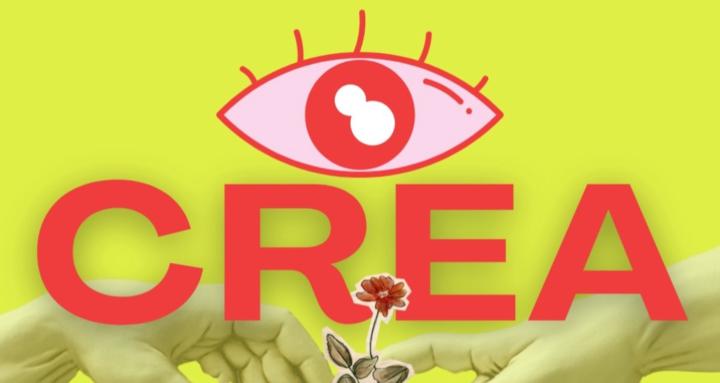 CREA ACADEMIA