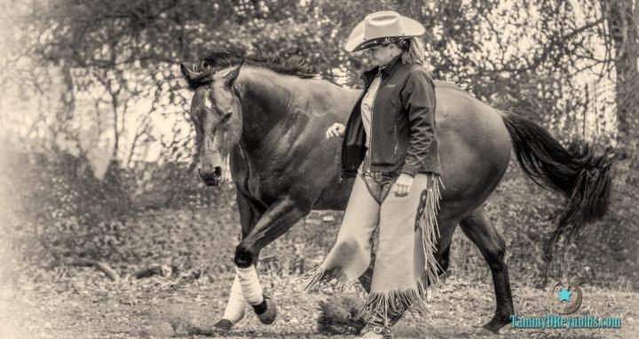 Alchemy in the Reins