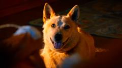 Alexander Castellanos