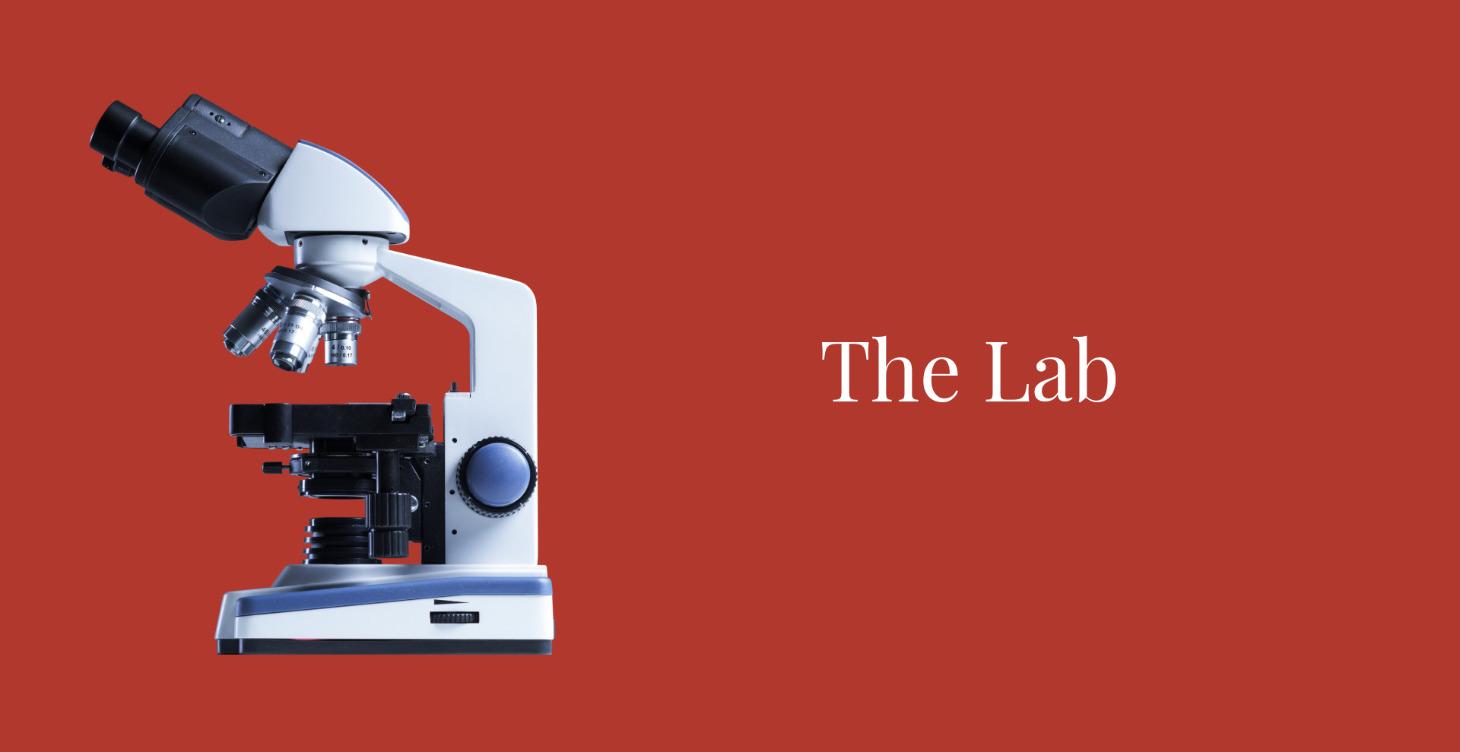 The Lab