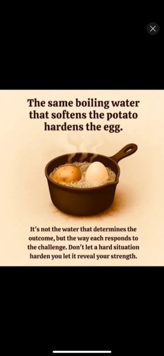 Thought for the Day❣️🤟