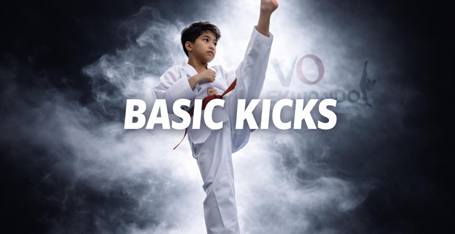 Basic Kicking Program