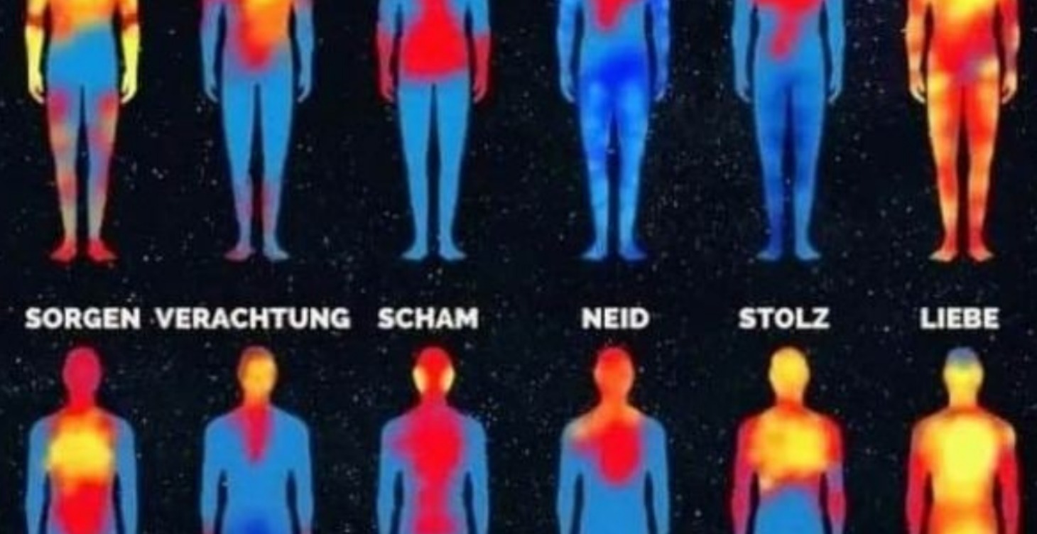 Aurase(h)minar am 20. Mai 2024 ,10-18Uhr, 80€