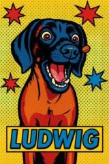 Helka Dr. Barna-Soltani