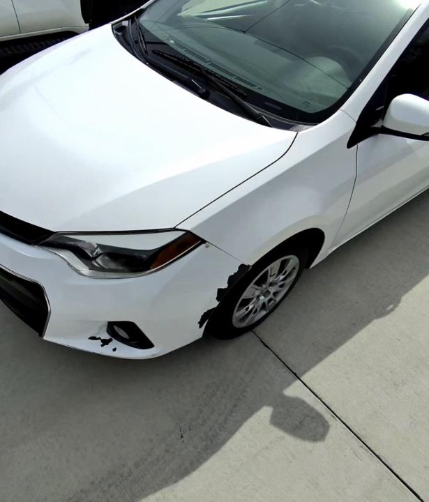 Snagged another Corolla!