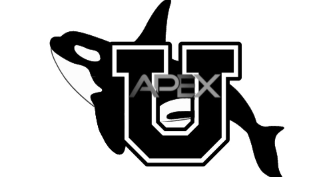 Apex university