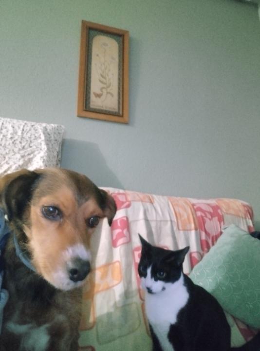 Desiree Marquez Lopez