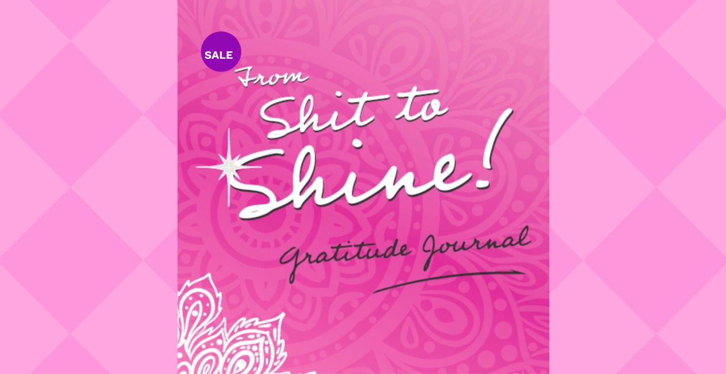 Shit to Shine Journal