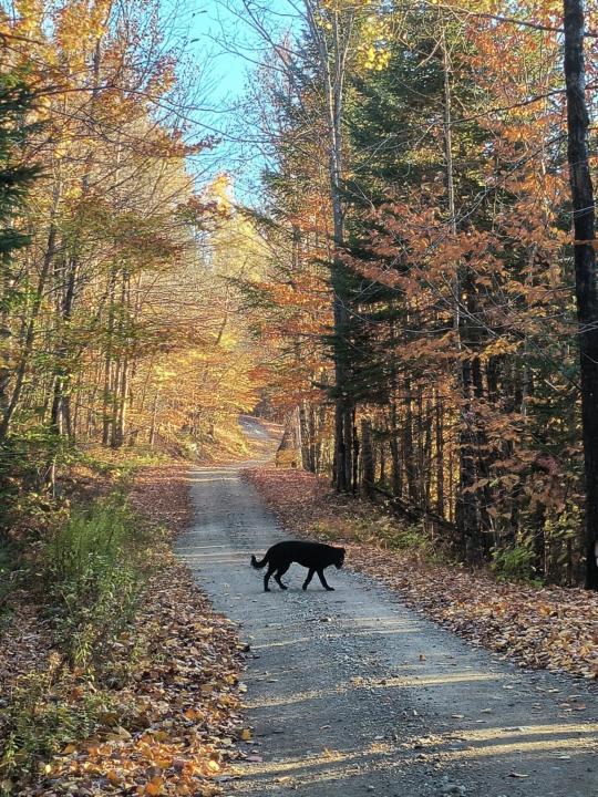 Living without a tower