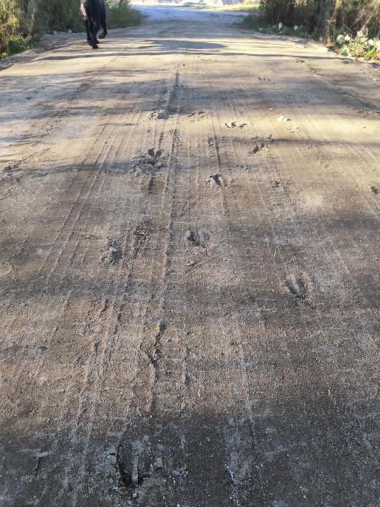 Pics of early October