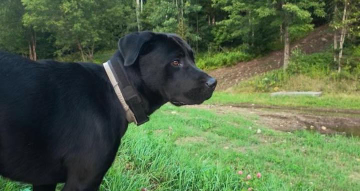 Relaxing Hikes with Tilou