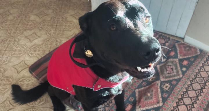 Relaxing Hikes with Tilou