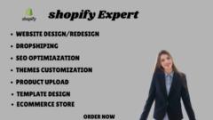 Shopify Expert