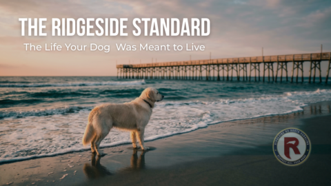 The Ridgeside Standard gallery image
