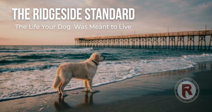 The Ridgeside Standard