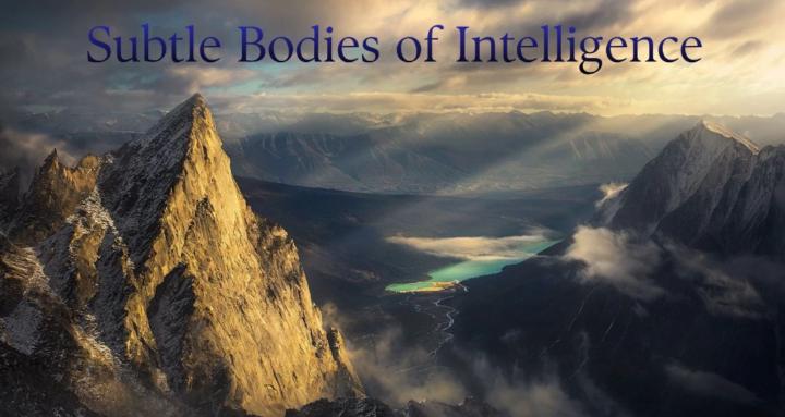 Subtle Bodies Of Intelligence