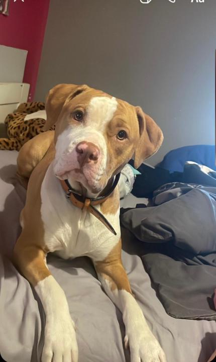 Francisco jose Muñoz uran