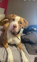 Francisco jose Muñoz uran