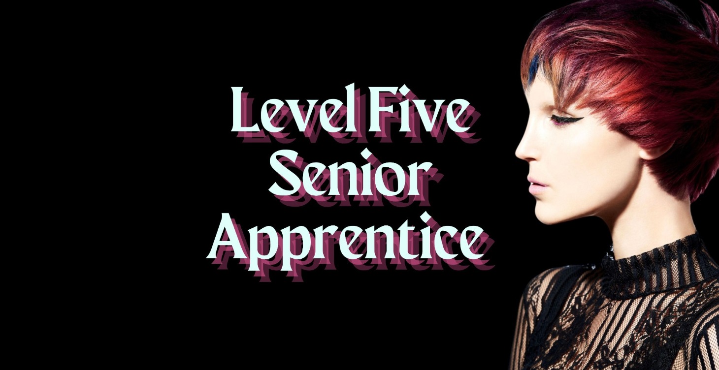 Level Five Senior Apprentice