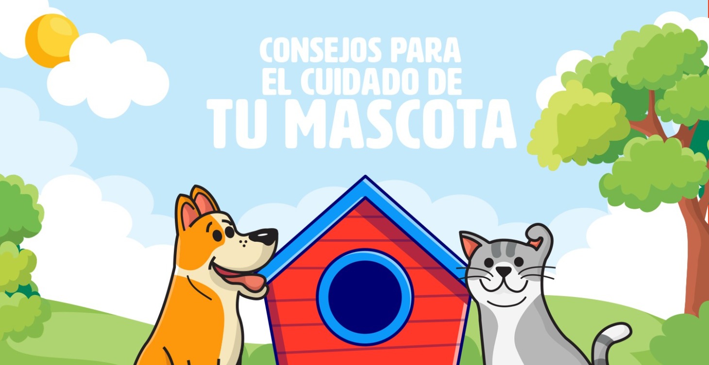 TIPS NECESARIOS PARA EL CUIDADO DE TU MASCOTA(ESP)