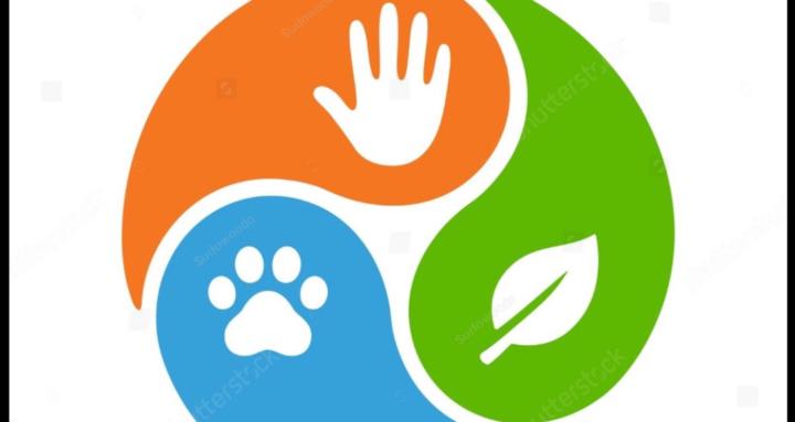 HaPpy pEtS, MaScoTaS FeliCez