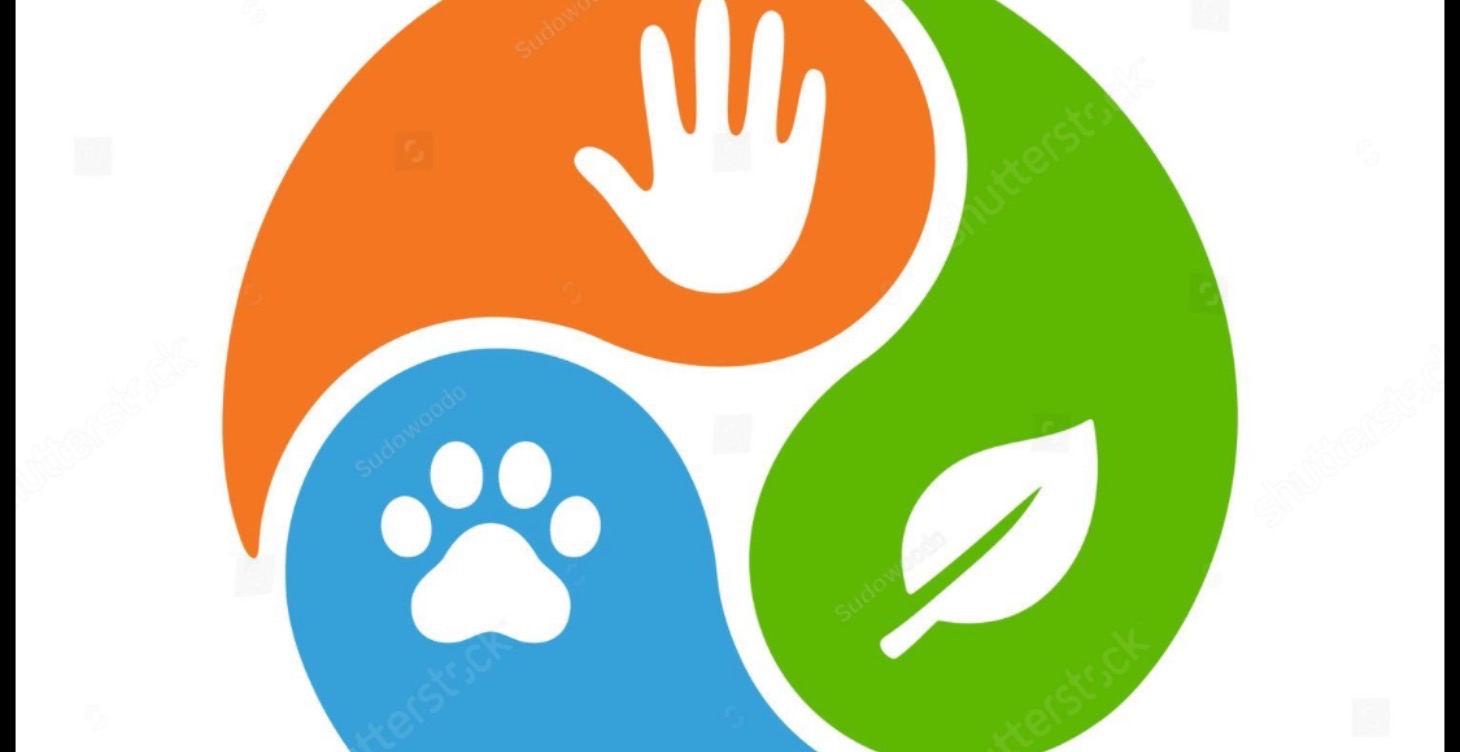 NECESSARY TIPS FOR THE CARE YOUR PETS