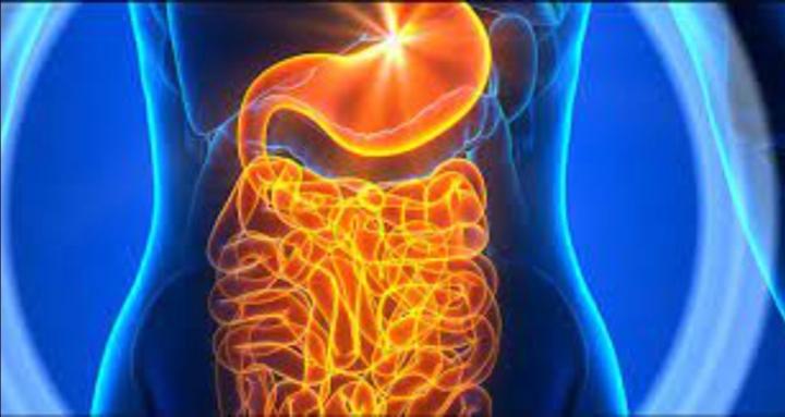 Total Gut Fix