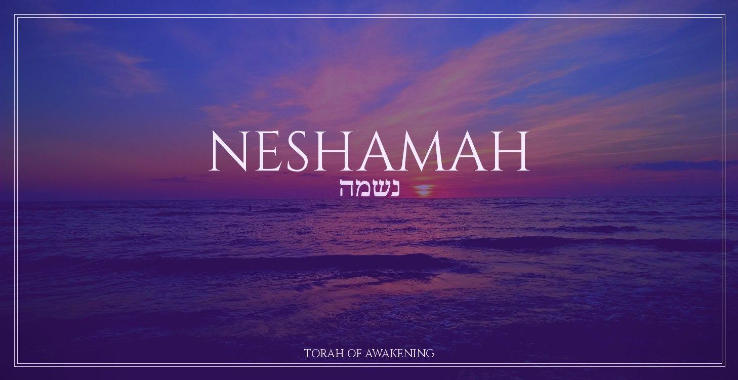 Neshamah