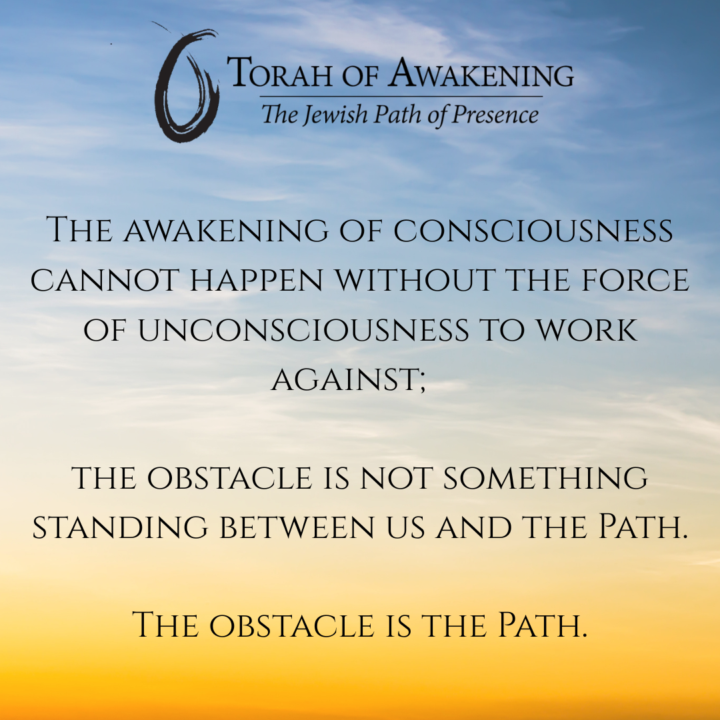 "The Obstacle is the Path" | Parshat Pinhas