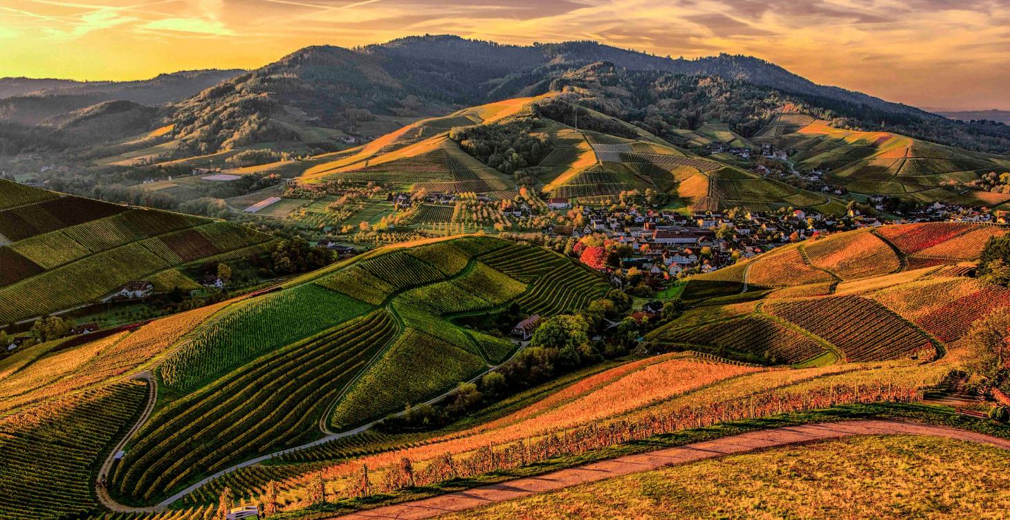 FREE LAND VALUE BLUEPRINT