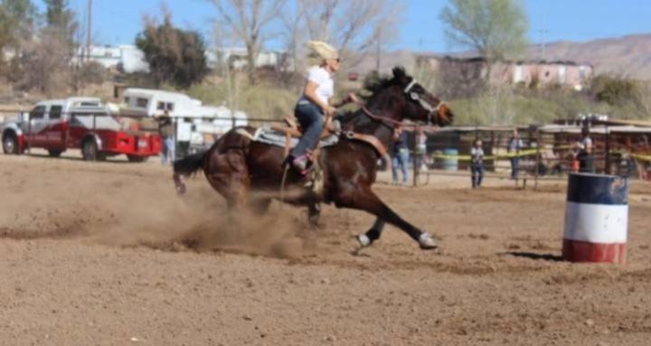 Griffith Family Horse Trainers
