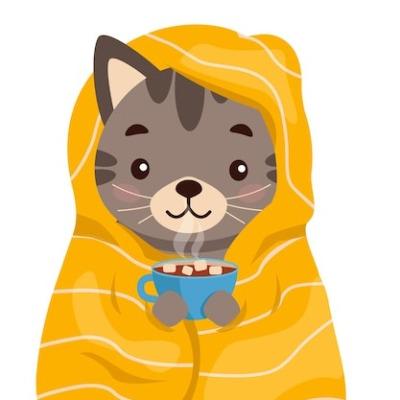 Cocoa Cat