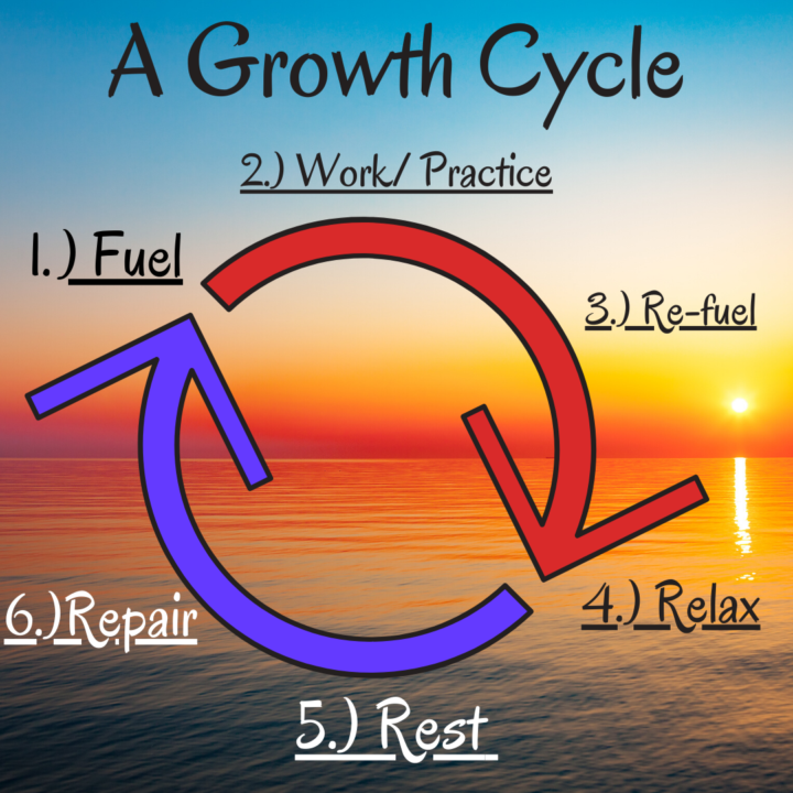 The Cycle: