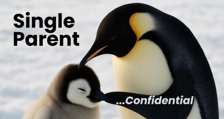 Single Parent Confidential