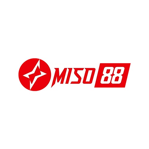 Miso Cfd