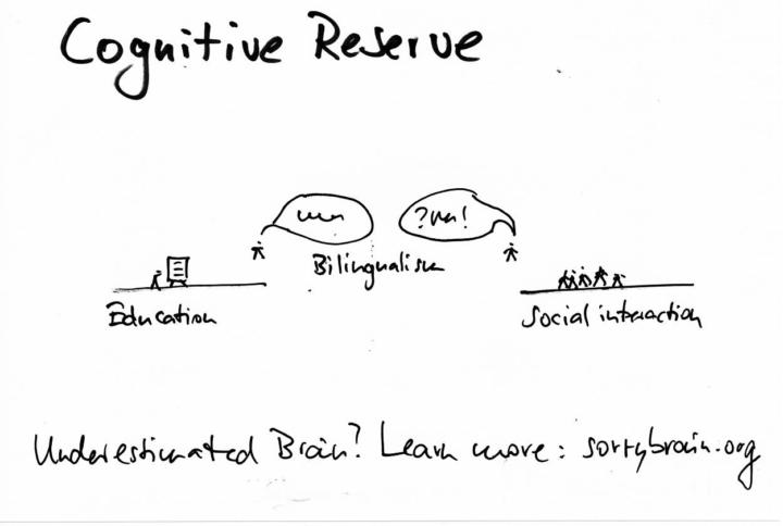 Cognitive reserve from education, social interaction, bilingualism