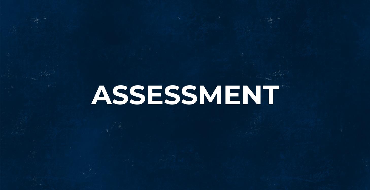 ASSESSMENT