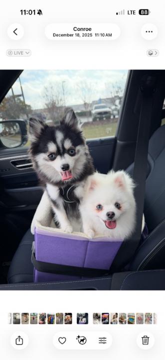 Bill and Colleen Ellison