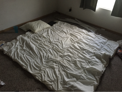 🥹De dormir en el suelo... a $40 millones facturados