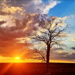 Antoinette Spangenberg