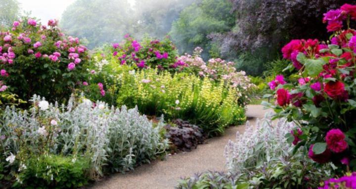 Gardening