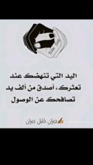 زايد المنصر