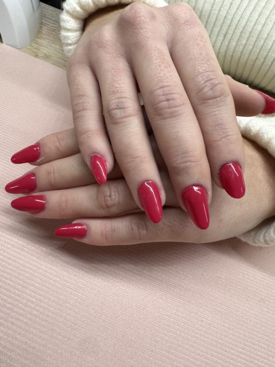 Ricostruzione per Giulia💕